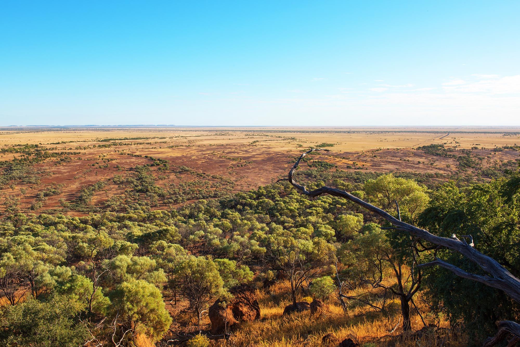 Longreach outback landscape